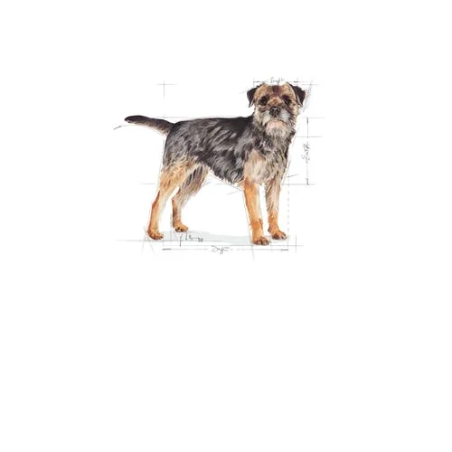 mini-sterilised-royal-canin