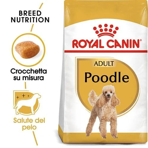 Royal Canin BHN Poodle - Foto 5 | AlanDog