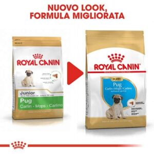 Royal Canin BHN Carlino Puppy - Foto 1 | AlanDog