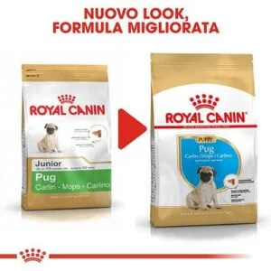 Royal Canin BHN Carlino Puppy - Foto 1 | AlanDog