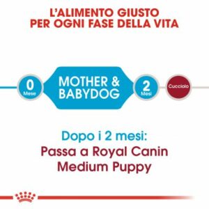 puppy_medium_starter_mother_babydog
