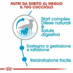 puppy_medium_starter_mother_babydog_royal_canin
