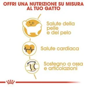 Royal Canin FBN Ragdoll - Foto 1 | AlanDog