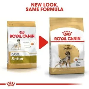 royal-canin-adult-setter