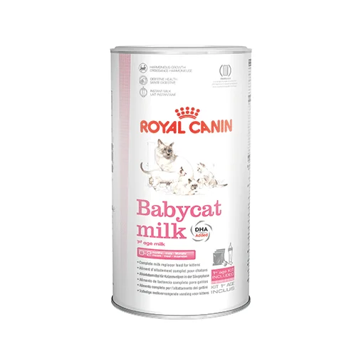 Royal Canin Babycat milk SOL | AlanDog