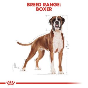 royal-canin-boxer-adult