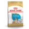 Royal Canin BHN Bulldog Puppy | AlanDog