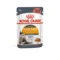 Royal Canin FCN WET Care Gatto Hair and Skin Bustine Umido | AlanDog