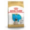 Royal Canin BHN Carlino Puppy | AlanDog
