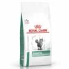 Royal Canin Diabetic Gatto | AlanDog