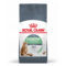 Royal Canin FCN Digestive Care Gatto | AlanDog