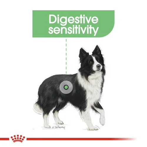 royal-canin-digestive-care-medium