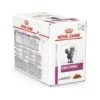 Royal Canin VHN Early Renal Umido Gatto | AlanDog