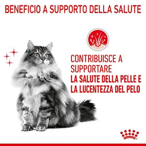 Royal Canin FCN Gatto Hair&Skin Care - Foto 5 | AlanDog