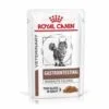 Royal Canin VHN Gastro Intestinal Moderate Calorie Buste Gatto | AlanDog