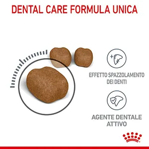 Royal Canin FCN Gatto Dental Care - Foto 3 | AlanDog