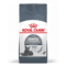 Royal Canin FCN Gatto Dental Care | AlanDog