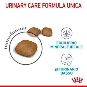 Royal Canin FCN WET Gatto Urinary Care - Foto 4 | AlanDog