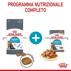 Royal Canin FCN WET Gatto Urinary Care - Foto 3 | AlanDog