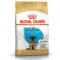 Royal Canin BHN German Shepherd Puppy | AlanDog