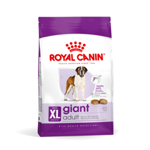 Royal Canin SHN Giant Adult cibo secco cani