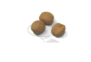royal-canin-giant-crocchette-cucciolo