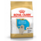 Royal Canin BHN Golden Retriever Puppy | AlanDog