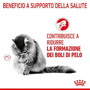 Royal Canin FCN Gatto Hairball Care - Foto 5 | AlanDog