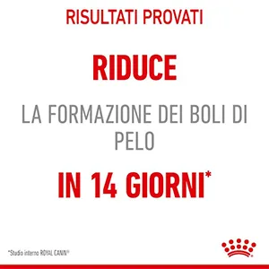 Royal Canin FCN Gatto Hairball Care - Foto 4 | AlanDog