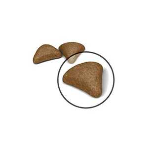 Royal Canin FCN Gatto Hairball Care - Foto 3 | AlanDog