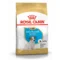 Royal Canin BHN Jack Russell Puppy | AlanDog