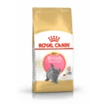 Royal Canin FBN Kitten British Shorthair