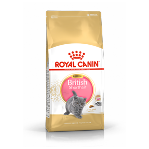 royal canin kitten british shorthair