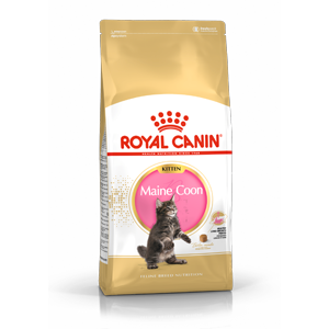 Royal Canin FBN Kitten Maine Coon