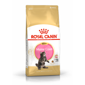 royal canin kitten maine coon