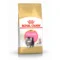 Royal Canin FBN Kitten Persian | AlanDog