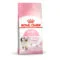 Royal Canin Kitten SOL | AlanDog