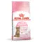 Royal Canin Kitten Sterilised SOL | AlanDog