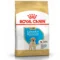 Royal Canin BHN Labrador Puppy | AlanDog