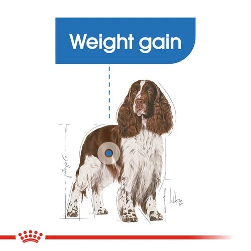 royal-canin-light-medium-weight-care