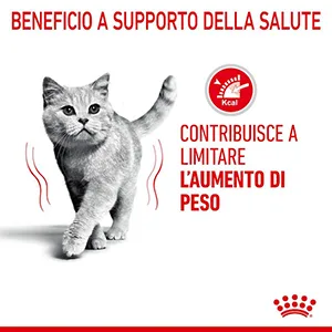 Royal Canin FCN Light Weight Care Gatto - Foto 4 | AlanDog