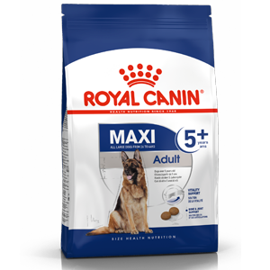 royal canin maxi adult 5 crocchette