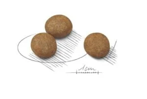 royal-canin-maxi-puppy