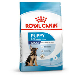 royal canin maxi puppy crocchette