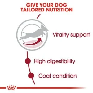 royal-canin-medium-adult-7