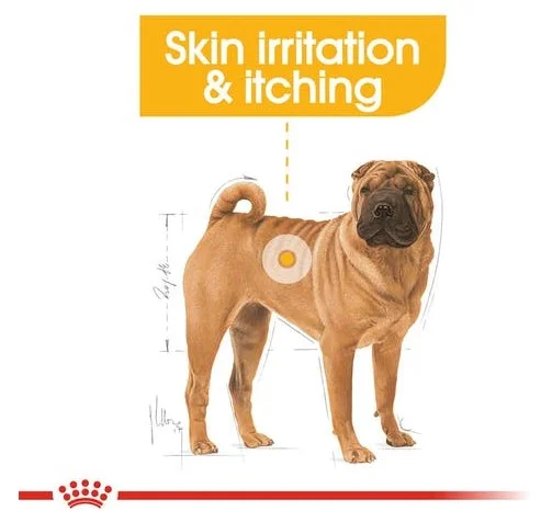 royal-canin-medium-dermaconfort