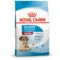 Royal Canin Medium Starter Mother and BabyDog | AlanDog