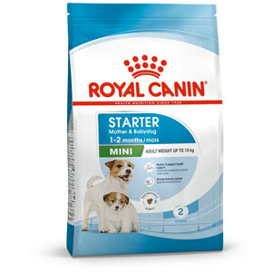 royal canin mini starter crocchette
