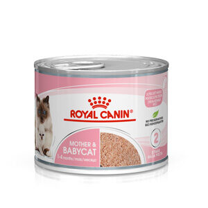 Royal Canin BabyCat SOL