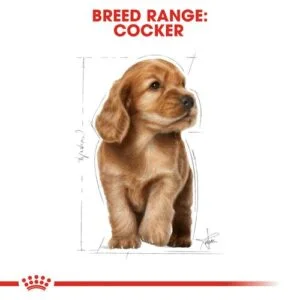 royal-canin-puppy-cocker